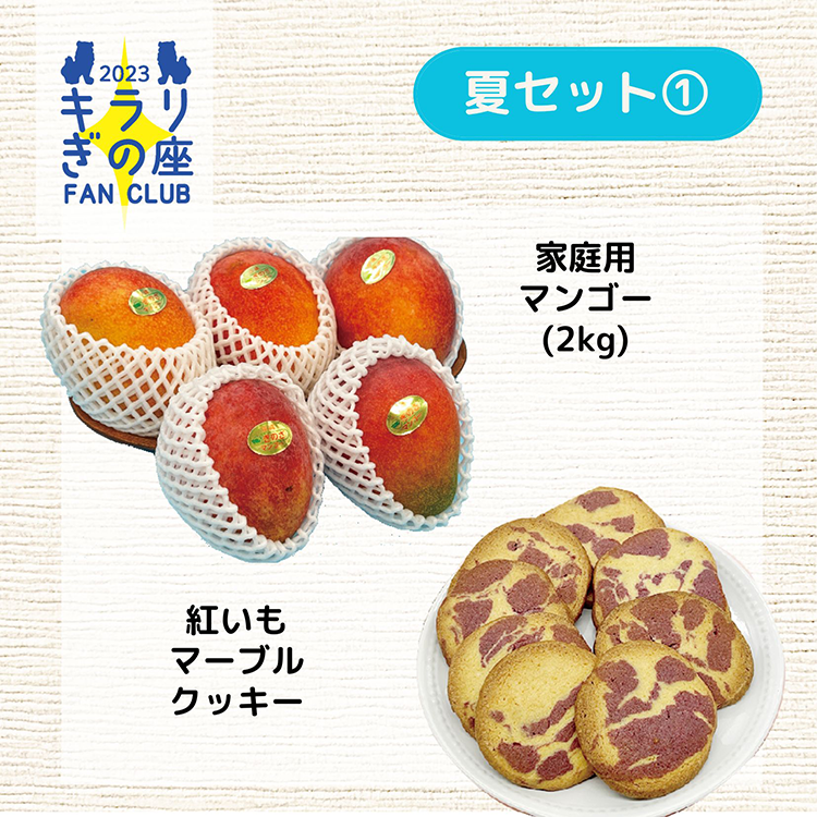 夏セット1