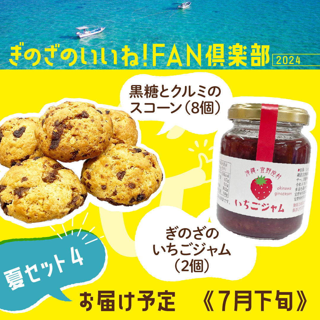 夏セット4
