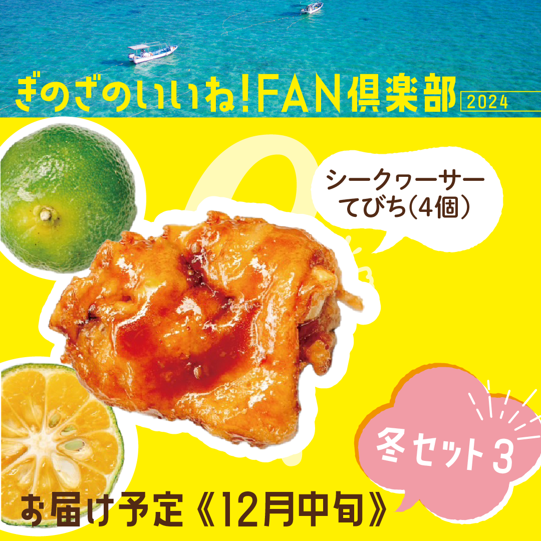 冬セット3